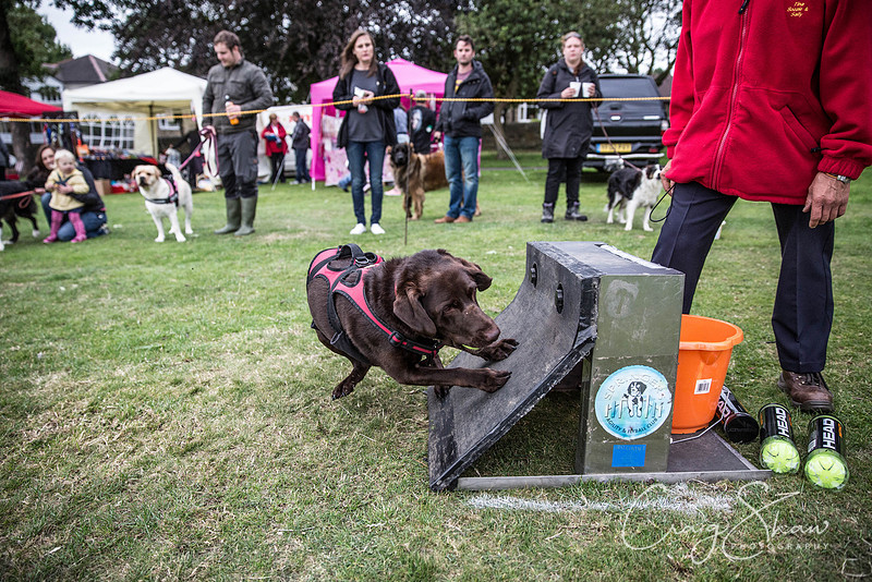 1691_BarkintheParkHuddersfield_2014_bluplanetphoto