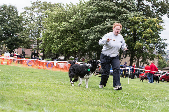 1828_BarkintheParkHuddersfield_2014_bluplanetphoto