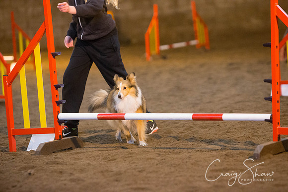 346_springfling2015_bluplanetphoto