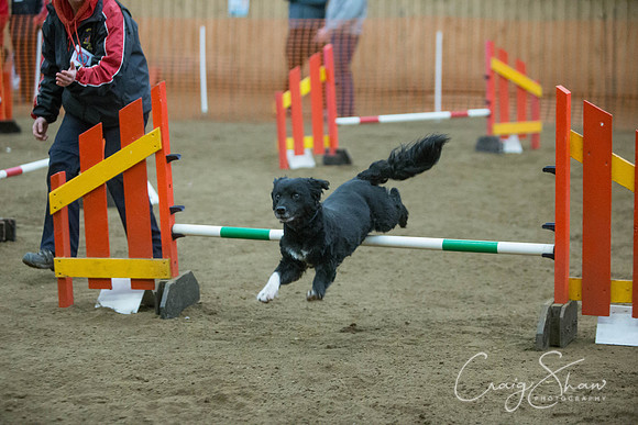 2830_springfling2015_bluplanetphoto