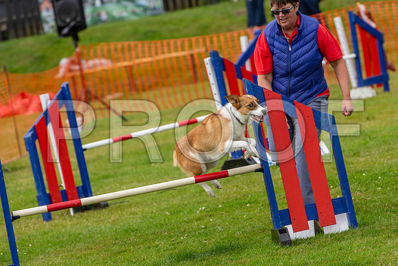 2332_SpringersFunDay2019_craigshawphoto