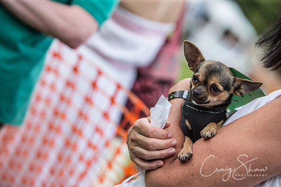 1546_K9Partyinthepark2014_RSPCAHalifax_bluplanetphoto