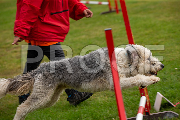 0471_SpringersFunDay2019_craigshawphoto