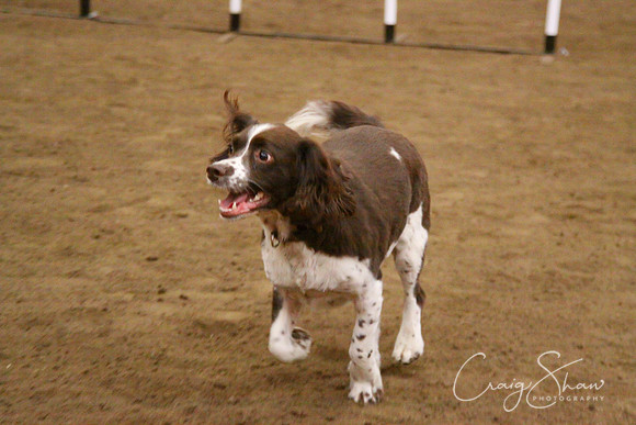 spring fling 2012-1676