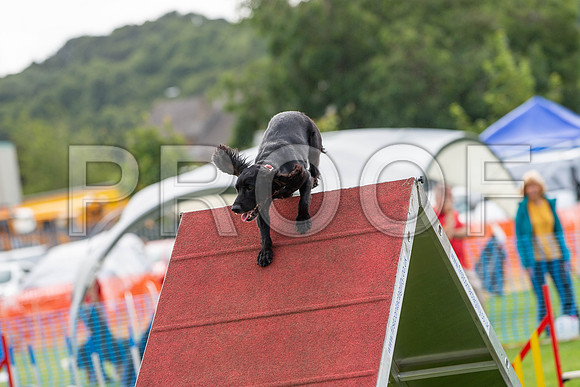 0914_SpringersFunDay2019_craigshawphoto