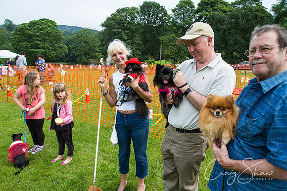 RSPCA Dog Day Afternoon