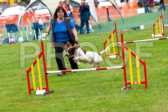 2384_SpringersFunDay2019_craigshawphoto