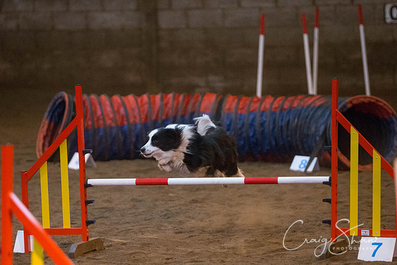 230_springfling2015_bluplanetphoto
