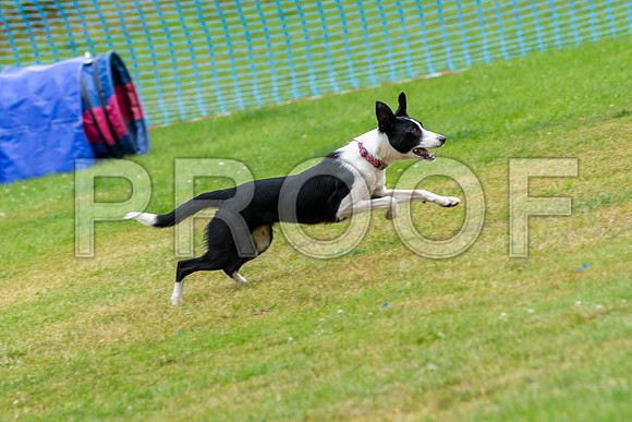2466_SpringersFunDay2019_craigshawphoto