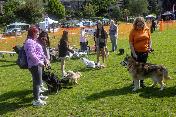403_HebdensHappyHounds2024_Cshaw-