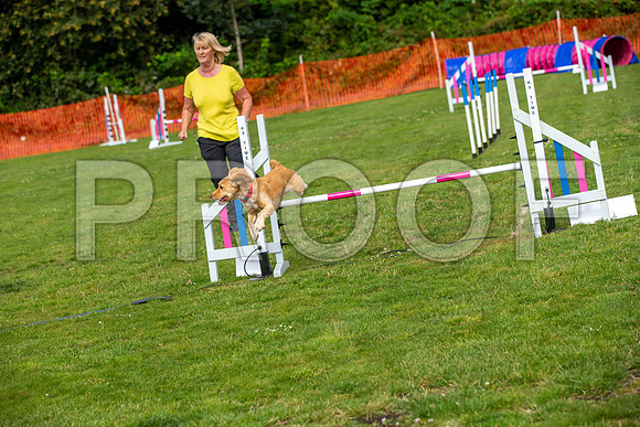 1274_SpringersFunDay2019_craigshawphoto