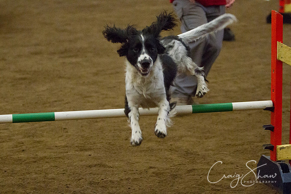 spring fling 2012-915