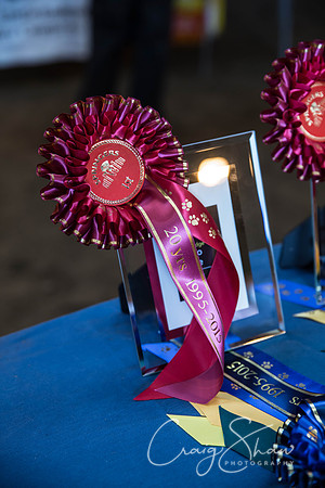 2129_springfling2015_bluplanetphoto