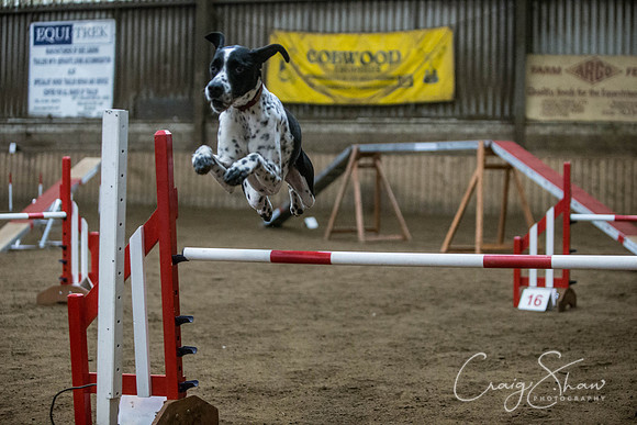 1312_springfling2015_bluplanetphoto