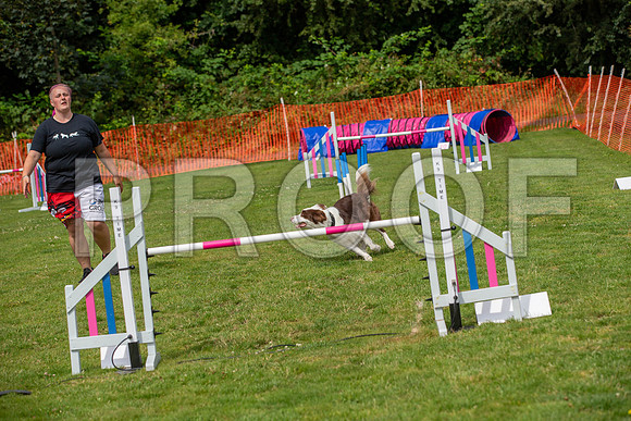 1835_SpringersFunDay2019_craigshawphoto