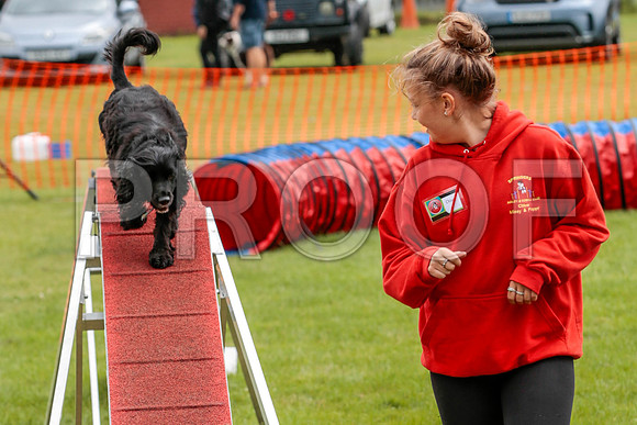 2673_SpringersFunDay2019_craigshawphoto