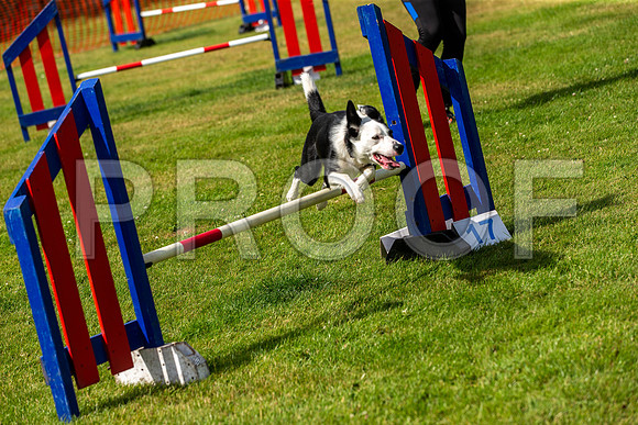 1404_SpringersFunDay2019_craigshawphoto