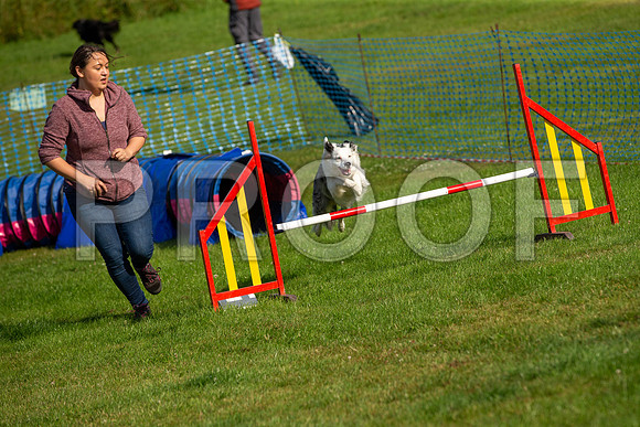 0155_SpringersFunDay2019_craigshawphoto
