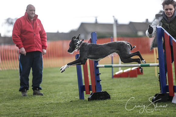 698__SpringersFunDay_March2014_bluplanetphoto