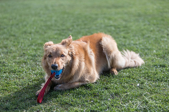 1471__SpringersFunDay_March2014_bluplanetphoto