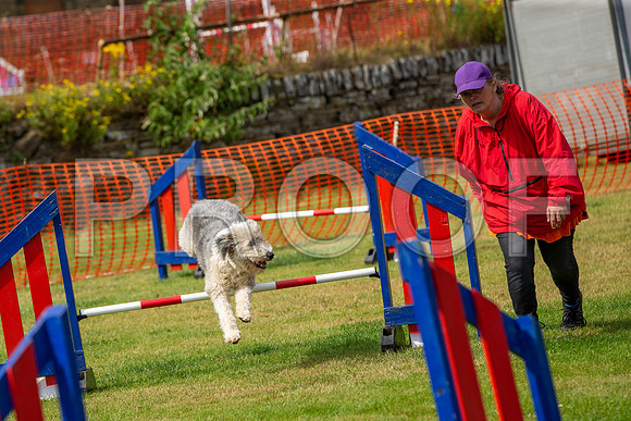 1432_SpringersFunDay2019_craigshawphoto