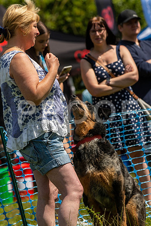 1948__PAWSFundogShow_July2022_cshaw