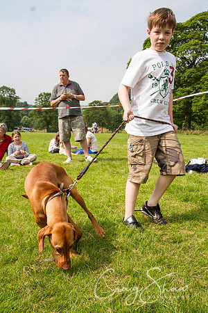RSPCA Dog Day Afternoon