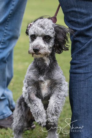 74_BarkintheParkHuddersfield_2014_bluplanetphoto