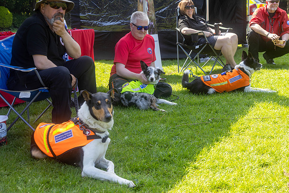 237_HebdensHappyHounds2024_Cshaw-