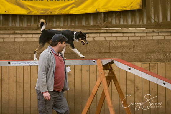 2499_springfling2015_bluplanetphoto