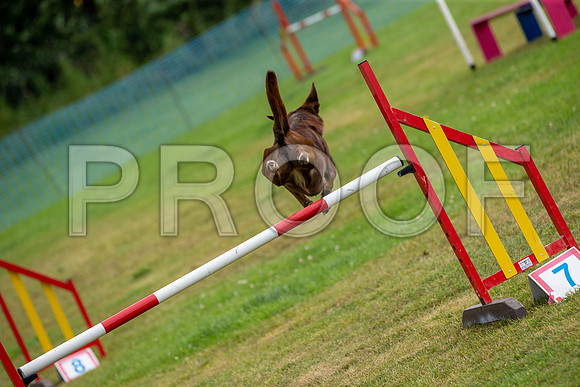 0824_SpringersFunDay2019_craigshawphoto