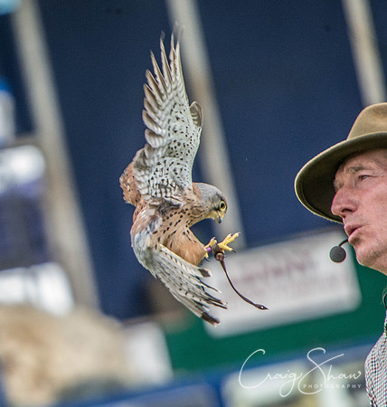 494_TodAgriculturalShow2014__bluplanetphoto