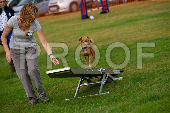 0601_SpringersFunDay2019_craigshawphoto