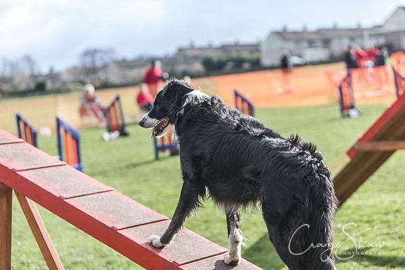 2206__SpringersFunDay_March2014_bluplanetphoto