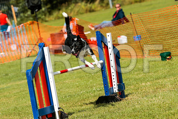 3336_SpringersFunDay2019_craigshawphoto