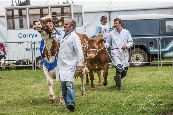 955_TodAgriculturalShow2014__bluplanetphoto