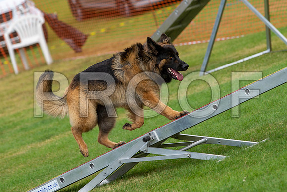 1133_SpringersFunDay2019_craigshawphoto