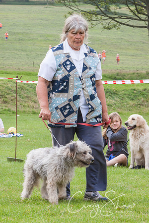 RSPCA Dog Day Afternoon